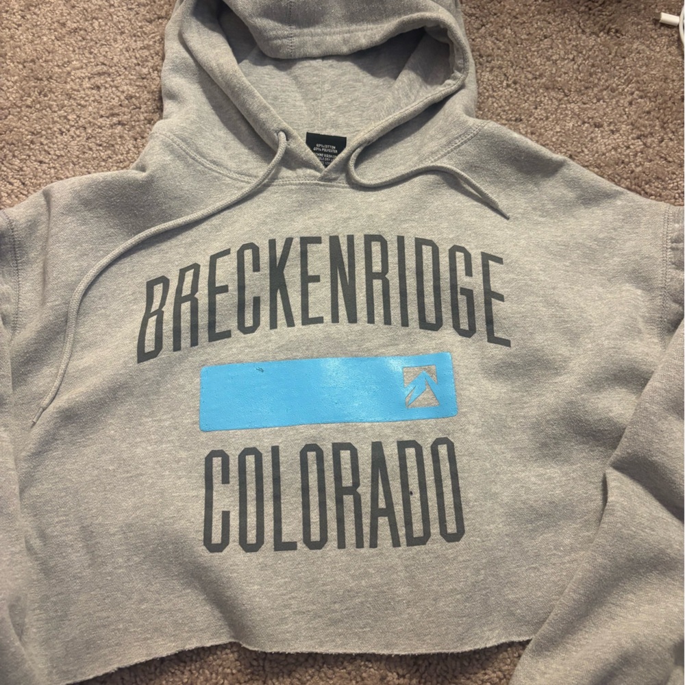 Gray Breckenridge Cropped Hoodie
